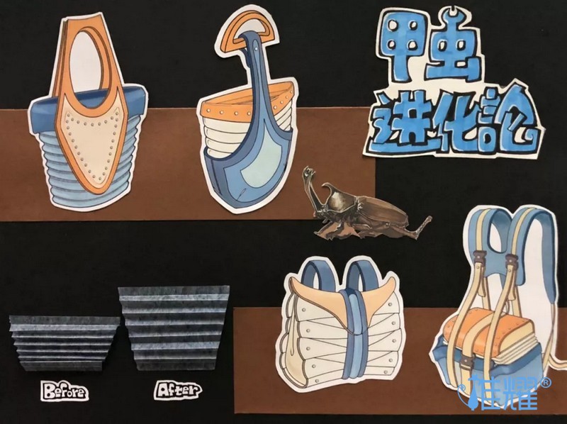 皮具箱包出纸格培训