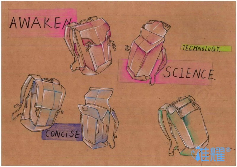 皮具箱包出纸格培训