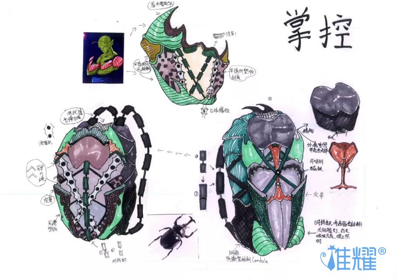 皮具箱包出纸格培训