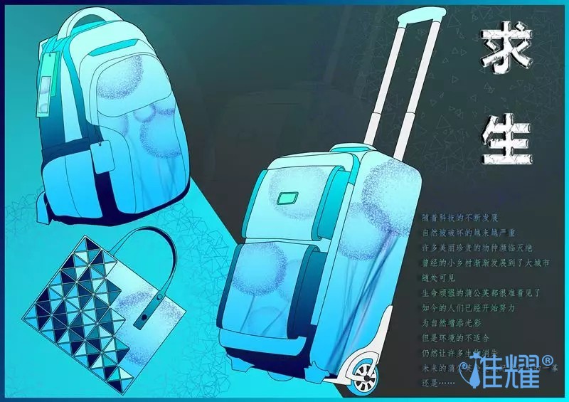 皮具箱包出纸格培训