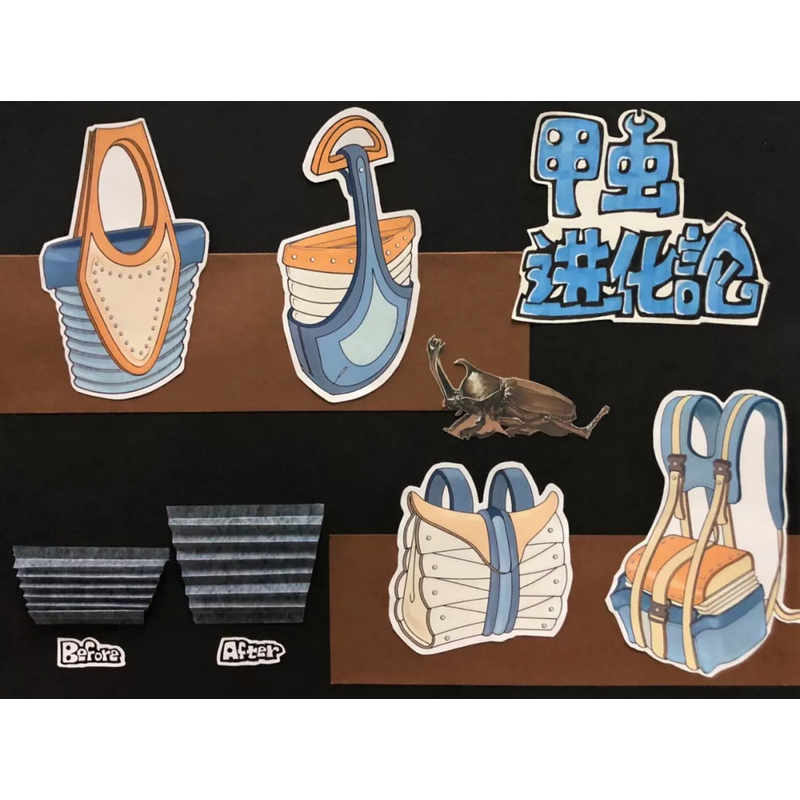 甲虫进化论(图1)